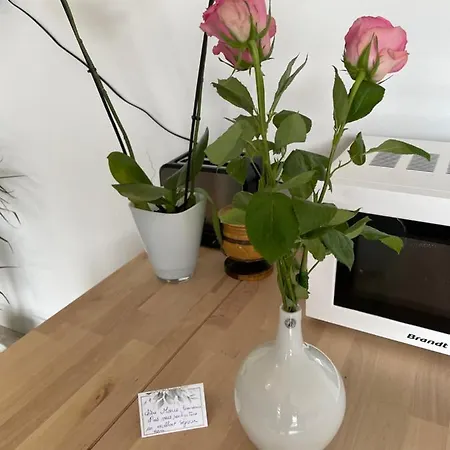 Joli T2, Terrasse Et Jardin, Ideal Pour Familles, A 15 Min De L'aeroport Roissy Cdg Apartment