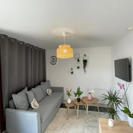 Joli T2, Terrasse Et Jardin, Ideal Pour Familles, A 15 Min De L'aeroport Roissy Cdg Apartment Tremblay-en-France